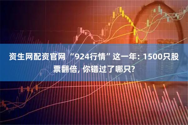 资生网配资官网 “924行情”这一年: 1500只股票翻倍, 你错过了哪只?