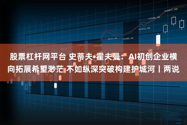 股票杠杆网平台 史蒂夫•霍夫曼：AI初创企业横向拓展希望渺茫 不如纵深突破构建护城河丨两说